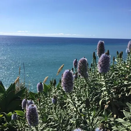 Calheta Ocean View 1 - Air Condition Estreito Da Calheta