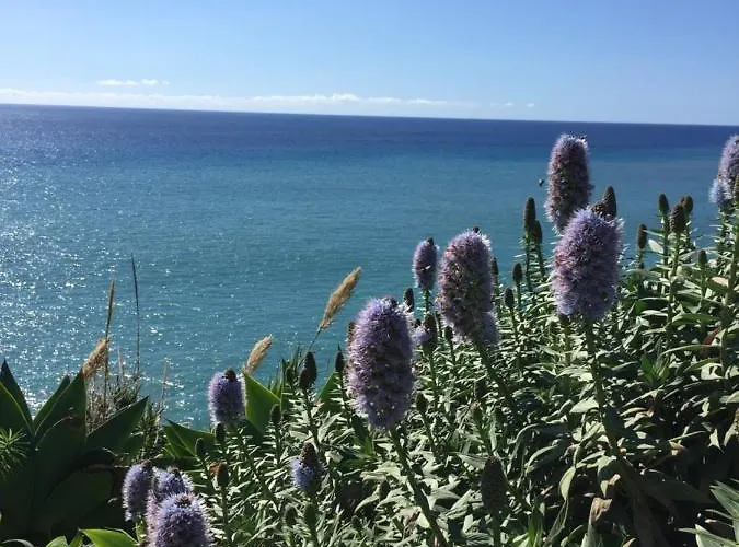 Calheta Ocean View 1 - Air Condition Estreito Da Calheta